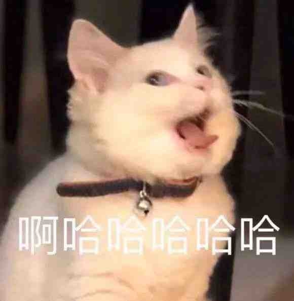 轻松一刻:打工是不可能打工的,只有偷电缆维持生活 轻松一刻:打工是不可能打工的,只有偷电缆维持生活