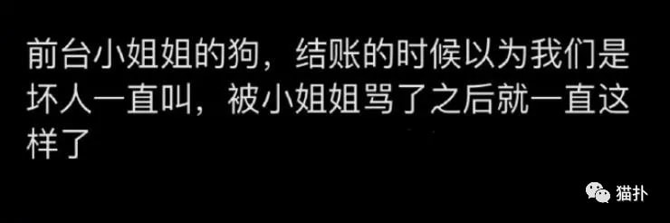 轻松一刻:打工是不可能打工的,只有偷电缆维持生活 轻松一刻:打工是不可能打工的,只有偷电缆维持生活