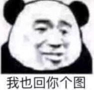 我也回你个图(熊猫头聊天斗图表情包)