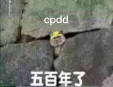 cpdd 五百年了