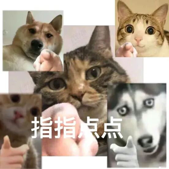 指指点点(猫咪狗勾指人表情包)