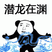 熊猫头练武 GIF 动图表情包