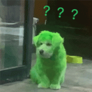绿色狗狗问号表情包