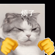 烦了猫咪打拳 GIF 动图