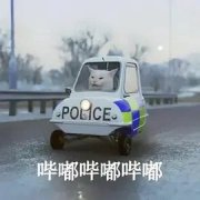 POLICE .哔嘟哔嘟哔嘟(猫咪出警表情包)