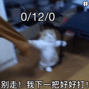 0/12/0 猫咪：别走！我下一把好好打！