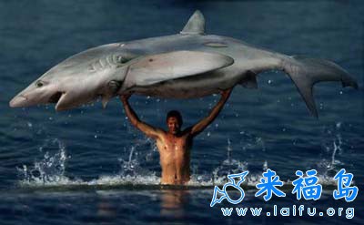 超人，没有什么不可能