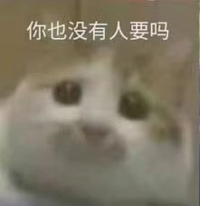 你也没有人要吗(猫咪表情包)