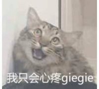 我只会心疼giegie (猫咪表情包)