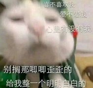 喜不喜欢我爱不爱我心里有没有我别搁那唧唧歪歪的给我整一个明明白白的