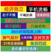 CPDD 济独立手机流畅肚子不饿不喝奶茶消息秒回洗澡十分钟吃饭五分钟绝不圈钱!只骗感情!24小