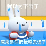 我以为下雨了原来是你把我整无语了