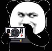 熊猫头相机拍照动图表情包