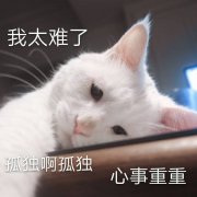 我太难了孤独啊孤独心事重重