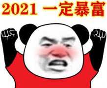 2021一定暴富(熊猫头表情包)