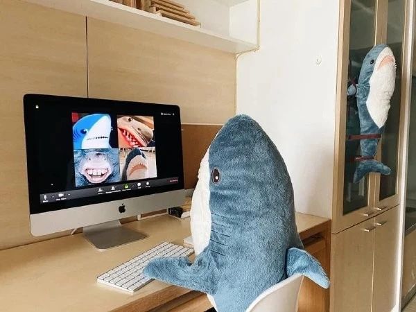 一刻午间版:上山祈求姻缘，还没等下山，初吻就没了!