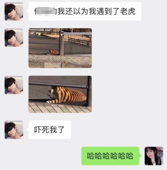 一刻午间版:上山祈求姻缘,还没等下山,初吻就没了! 一刻午间版:上山祈求姻缘,还没等下山,初吻就没了!