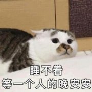 睡不着等一个人的晚安安(猫咪表情包)