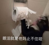 眼泪就是他妈止不住哇(猫咪抽纸巾)