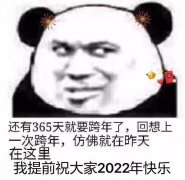 米福还有365天就要跨年了,回想上一次跨年,仿佛就在昨天在这里我提前祝大家2022年快乐