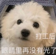 打工后眼睛里再没有光了