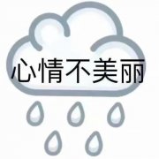 心情不美丽