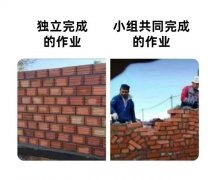 独立完成小组共同完成的作业的作业