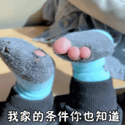 我家的条件你也知道(破袜子 GIF 动图表情包)