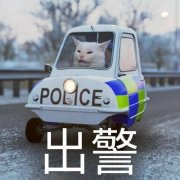 高清猫咪开警车 猫咪出警表情包