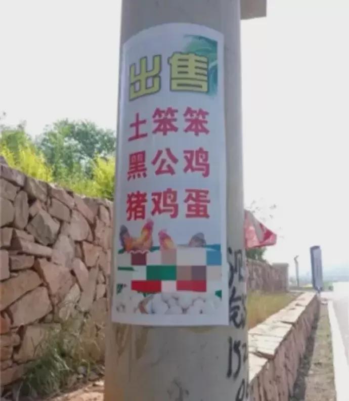 开心一刻:网红直播卖货有多野?看得我目瞪口呆 开心一刻:网红直播卖货有多野?看得我目瞪口呆