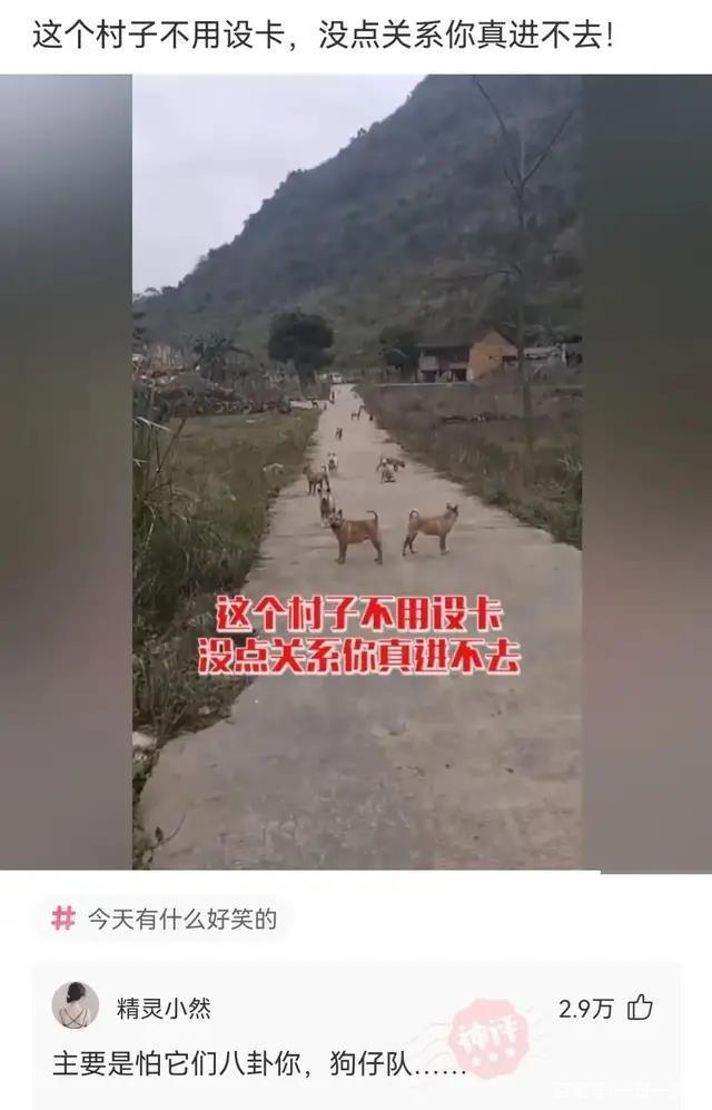 神回复:王者荣耀里,有主播开发48%吸血流庄周,他的出装铭文是 神回复:王者荣耀里,有主播开发48%吸血流庄周,他的出装铭文是