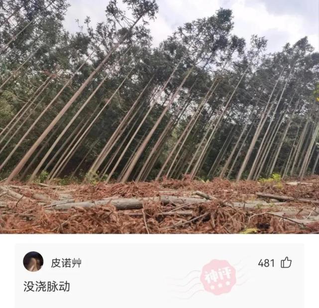 神回复:医院医生叫我不要用力,老中医叫我多活动,我该听谁的? 神回复:医院医生叫我不要用力,老中医叫我多活动,我该听谁的?