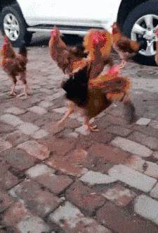 “你知道为什么张无忌不专一吗? “你知道为什么张无忌不专一吗?