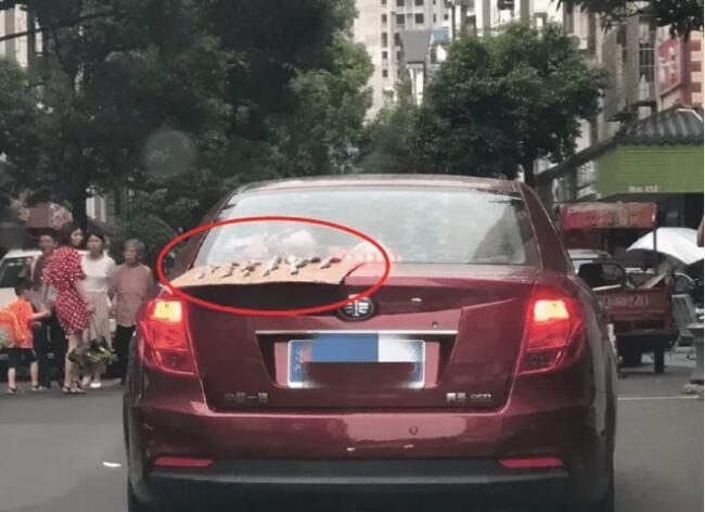 “你知道为什么张无忌不专一吗? “你知道为什么张无忌不专一吗?