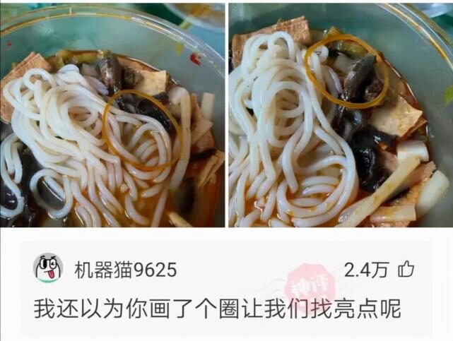 神回复:关羽和张飞没有拜师学艺,为何武功却是天下名列前茅? 神回复:关羽和张飞没有拜师学艺,为何武功却是天下名列前茅?