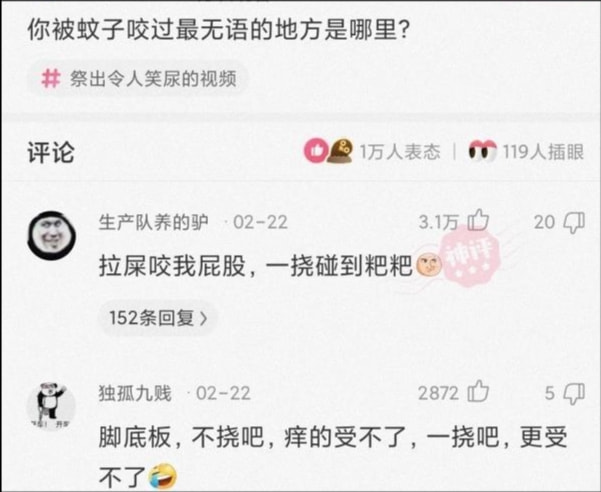 神回复:你被蚊子咬过最无语的地方是哪里? 神回复:你被蚊子咬过最无语的地方是哪里?