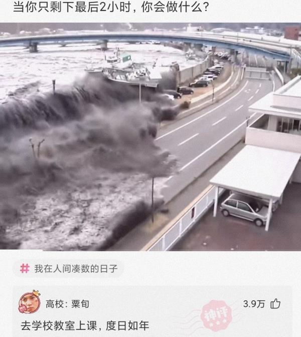 神回复:你被蚊子咬过最无语的地方是哪里? 神回复:你被蚊子咬过最无语的地方是哪里?