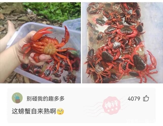 神回复:新装修的电就发生危险,这样接有问题吗? 神回复:新装修的电就发生危险,这样接有问题吗?