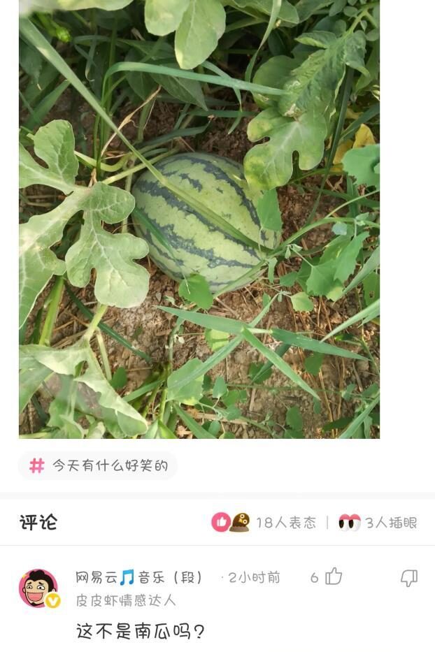 神回复:新装修的电就发生危险,这样接有问题吗? 神回复:新装修的电就发生危险,这样接有问题吗?