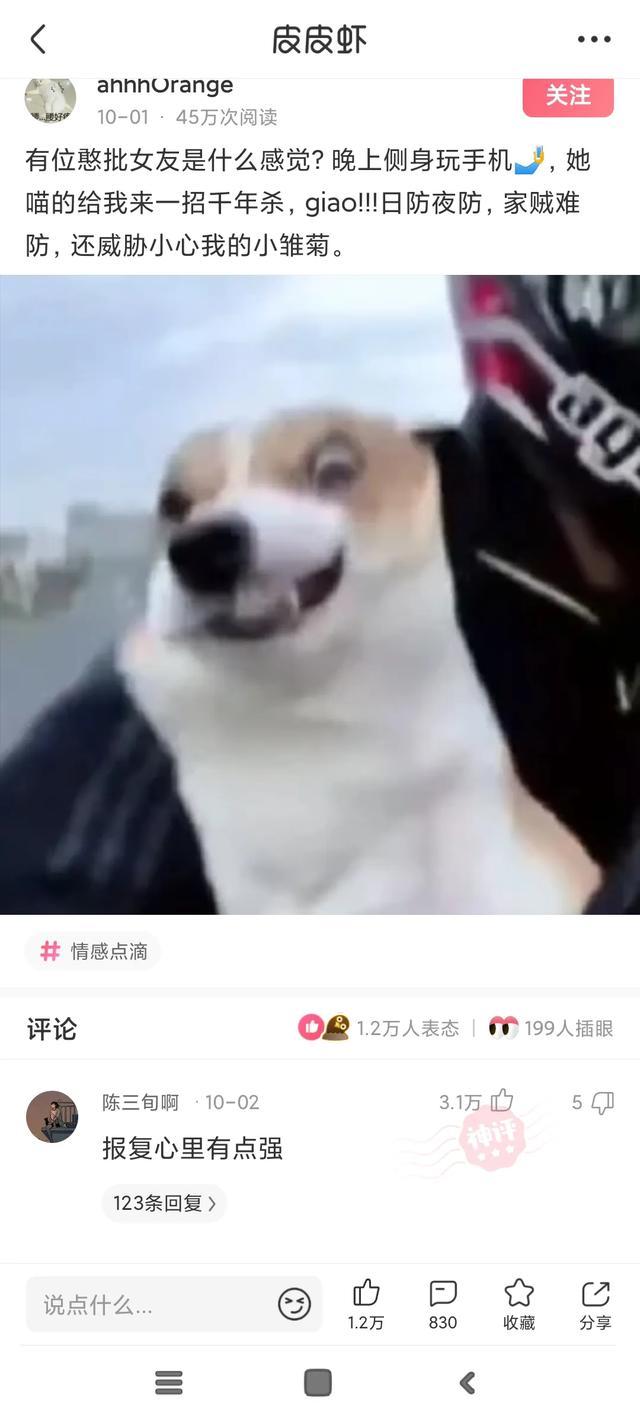 神回复:如果被这群女混混围攻你,你会怎么脱困? 神回复:如果被这群女混混围攻你,你会怎么脱困?