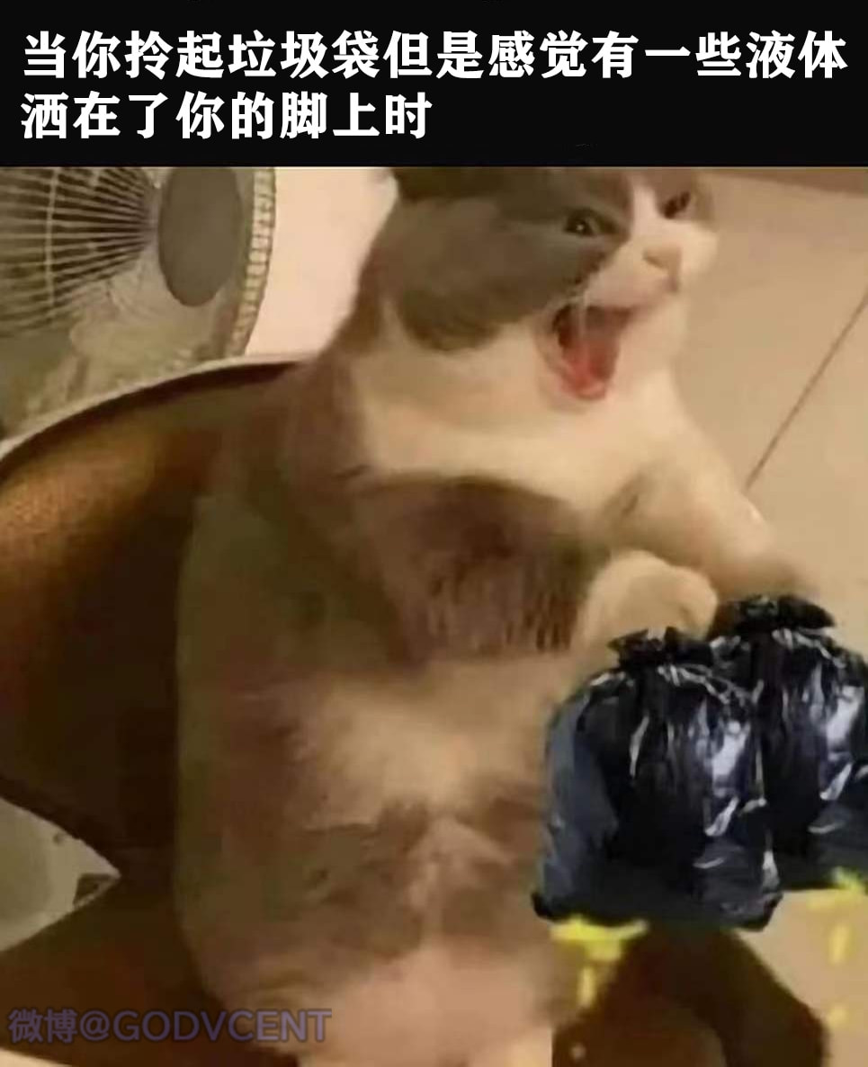 轻松一刻:这灯真好看,让人想起那个动荡的夜晚! 轻松一刻:这灯真好看,让人想起那个动荡的夜晚!
