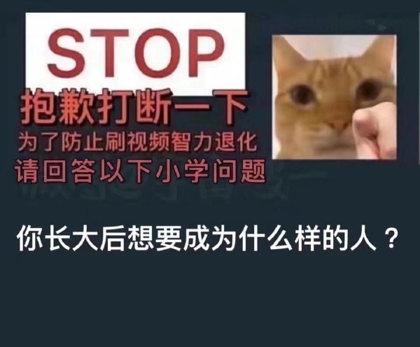 轻松一刻:这灯真好看,让人想起那个动荡的夜晚! 轻松一刻:这灯真好看,让人想起那个动荡的夜晚!