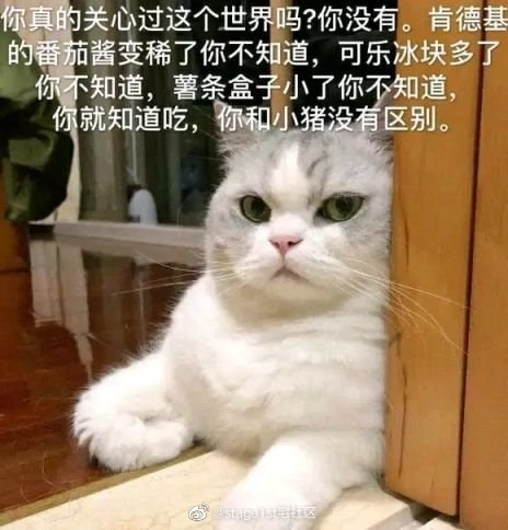 轻松一刻:这灯真好看,让人想起那个动荡的夜晚! 轻松一刻:这灯真好看,让人想起那个动荡的夜晚!