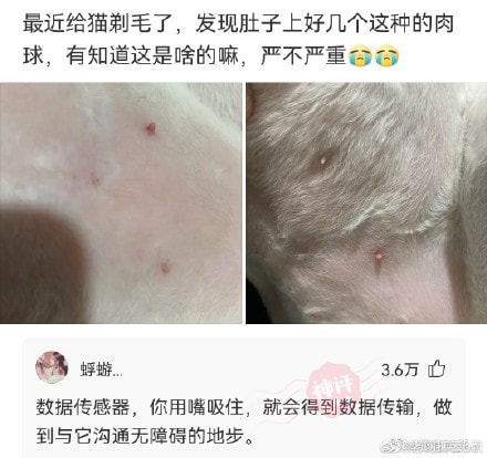 轻松一刻:古有沉香劈山救母，今有小伙翘柜救“妻”