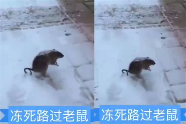 轻松一刻:古有沉香劈山救母,今有小伙翘柜救“妻” 轻松一刻:古有沉香劈山救母,今有小伙翘柜救“妻”