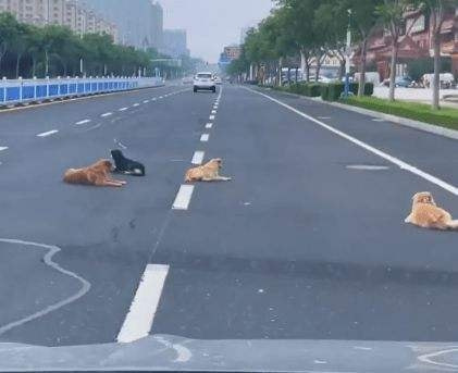 轻松一刻:拍断男友三根肋骨,这是什么“温柔”女友 轻松一刻:拍断男友三根肋骨,这是什么“温柔”女友