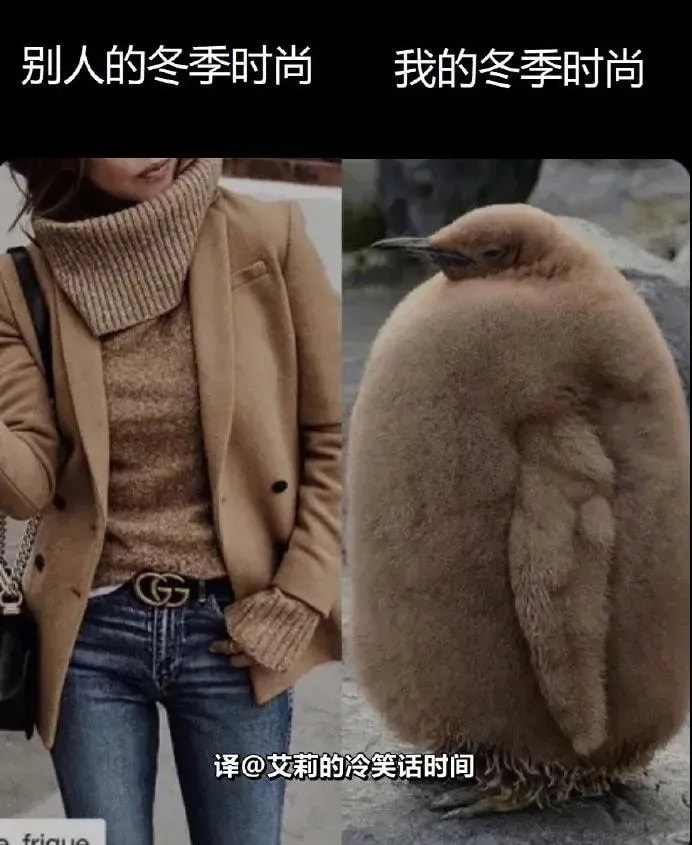 轻松一刻:拍断男友三根肋骨,这是什么“温柔”女友 轻松一刻:拍断男友三根肋骨,这是什么“温柔”女友