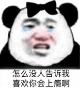 怎么没人告诉我喜欢你会上瘾啊(熊猫头表情包)