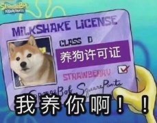 MiLKSHAKE LiCENSE CLASS D 养狗许可证我养你啊!!