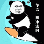 你也上网冲浪啊 熊猫头动图表情包